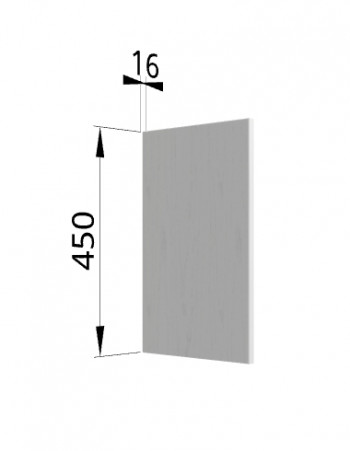 Панель торцевая (для шкафа горизонтального высокого) ВПГ Ройс (Графит софт) в Багане - bagan.mebel54.com | фото